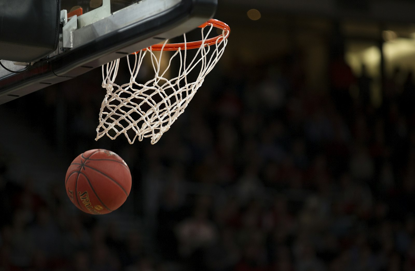 Raiffeisen Swans Gmunden vs BC Vienna